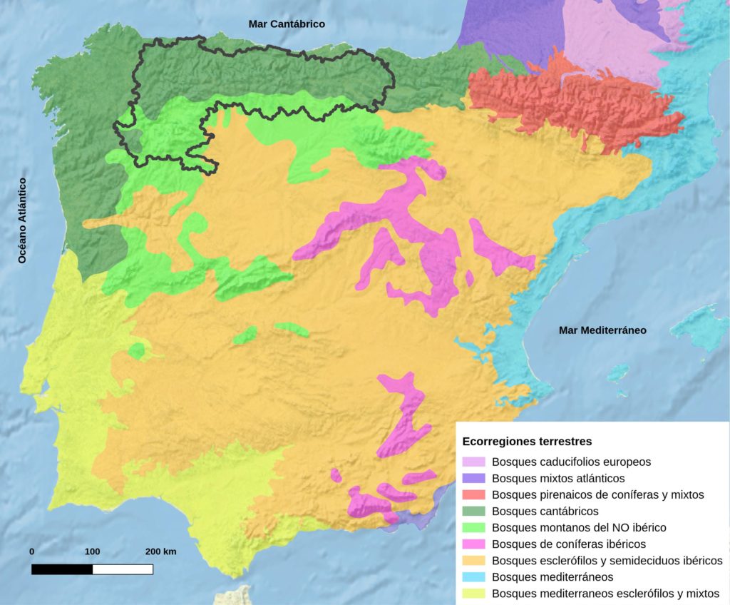 Regiones ecogeográficas de la Península Ibérica