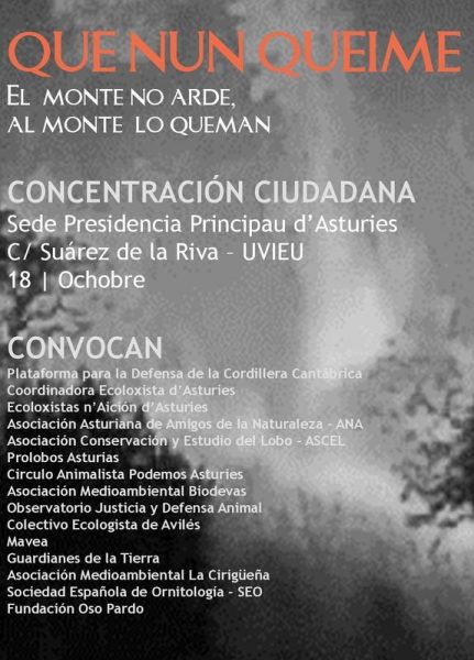 concentración Oviedo 2017 10